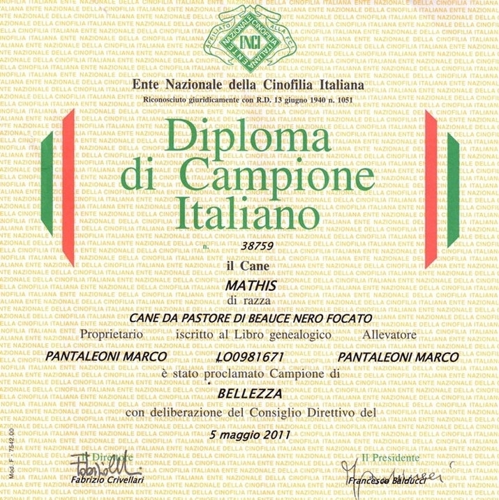 Campione Italiano di Bellezza - Des Gardiens de Rome