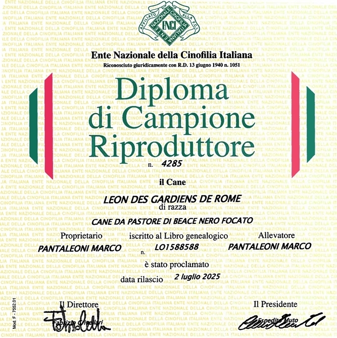 Campione Italiano Riproduttore - Des Gardiens de Rome