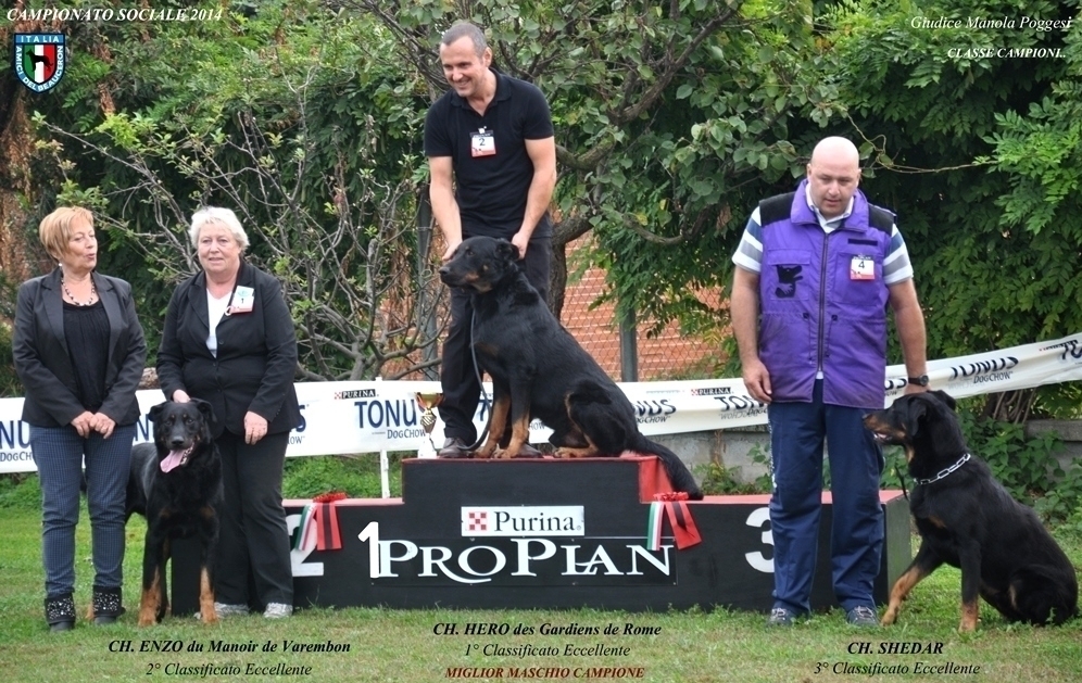 Campionato Sociale 2014 razza Beauceron - 5 Ottobre - Barone Canavese (TO) - Des Gardiens de Rome