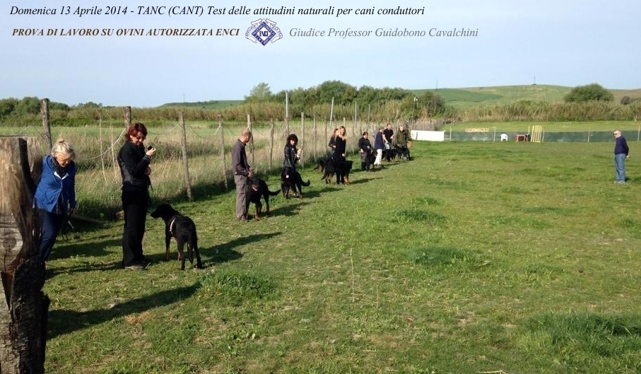CANT - test delle attitudini naturali per cani conduttori - Des Gardiens de Rome