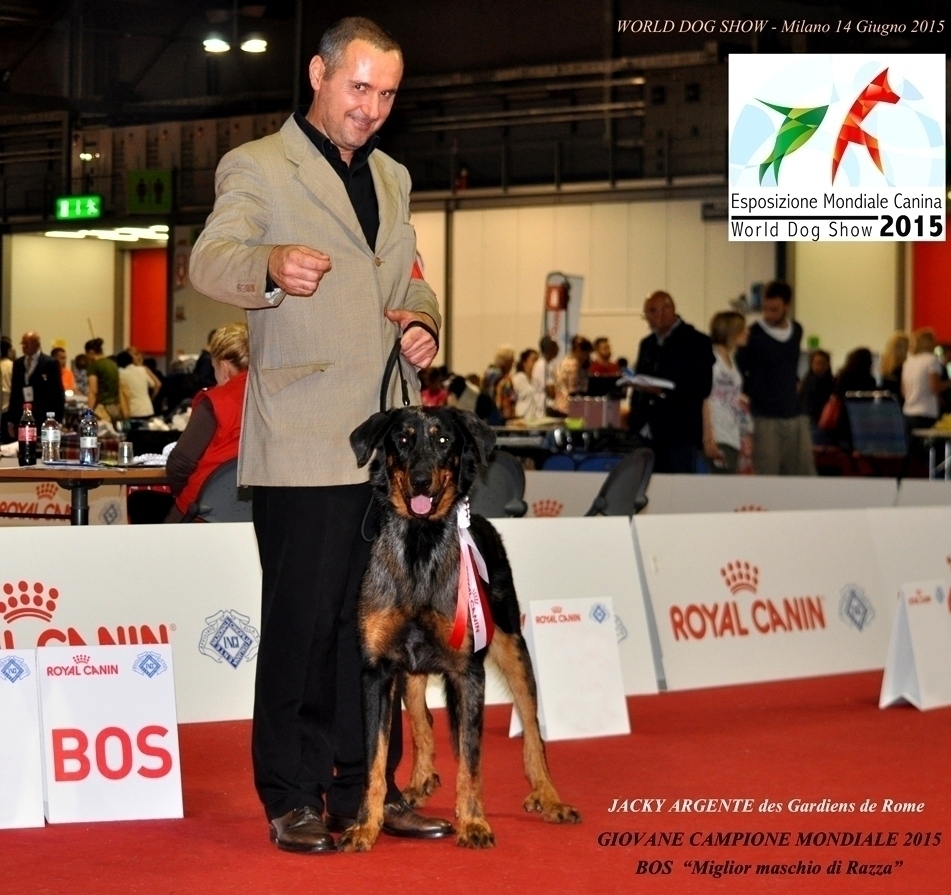 World Dog Show - Milano 14 Giugno 2015 - Des Gardiens de Rome
