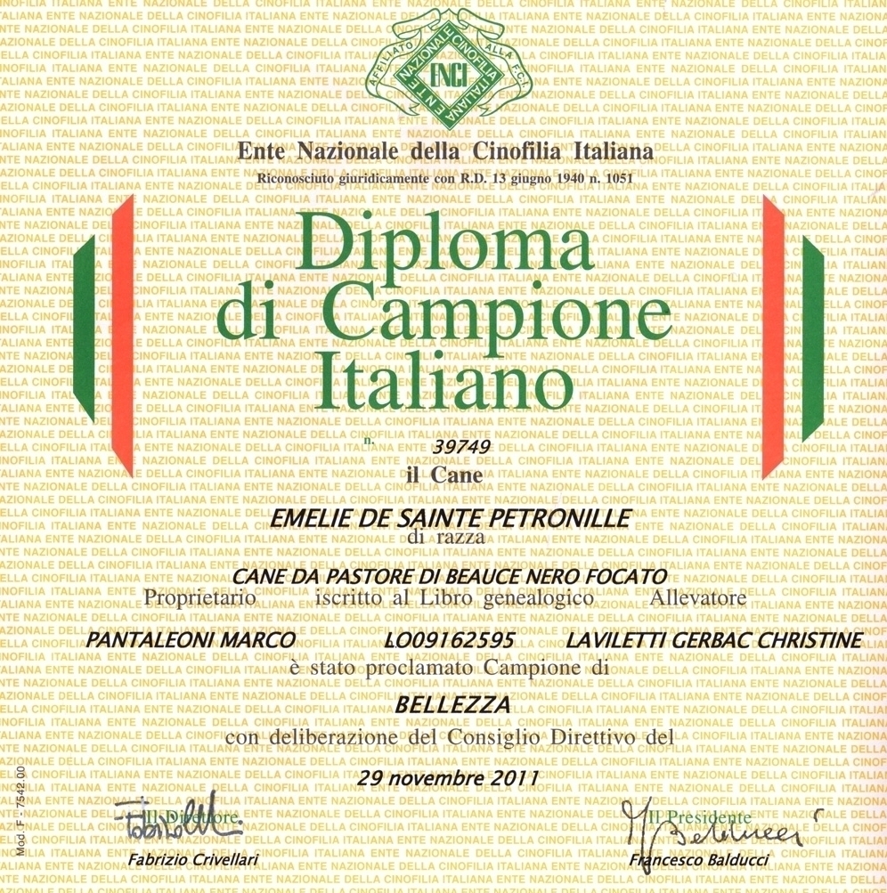 Campione Italiano di Bellezza - Des Gardiens de Rome