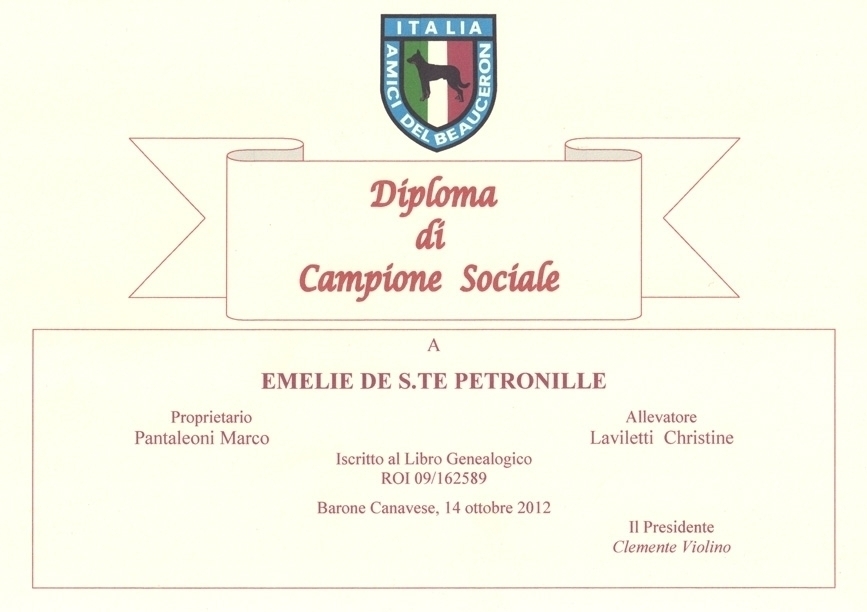 Campione Sociale - Des Gardiens de Rome