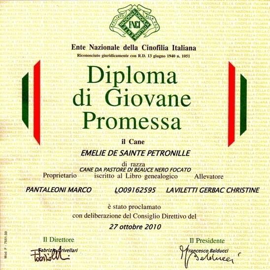 Giovane Promessa - Des Gardiens de Rome