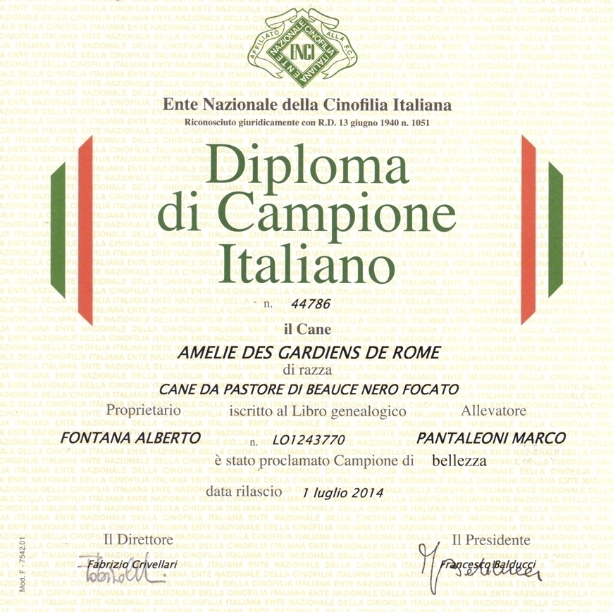 Campione Italiano di Bellezza - Des Gardiens de Rome