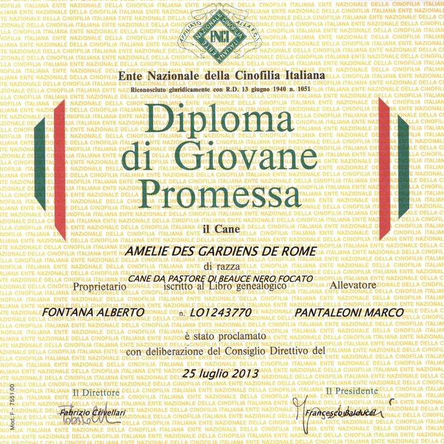 Giovane Promessa - Des Gardiens de Rome