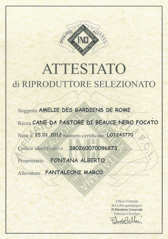 Riproduttore Selezionato - Des Gardiens de Rome