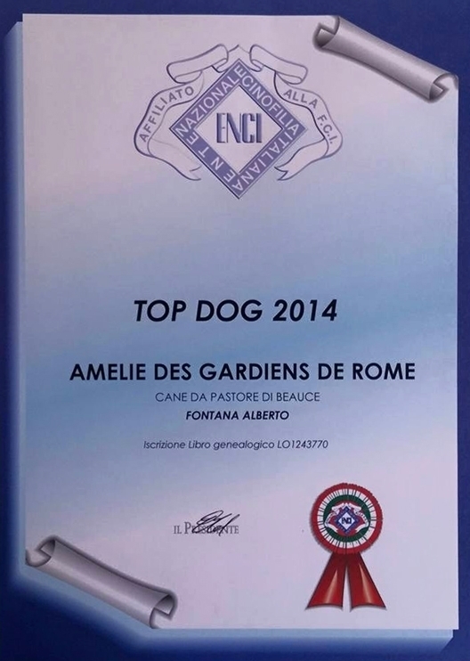 Italian Top Dog 2014 - Des Gardiens de Rome