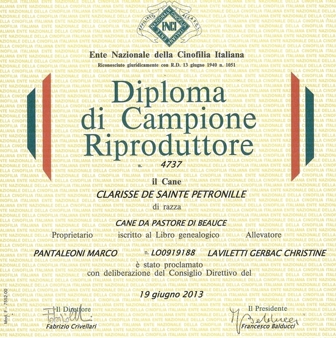 Campione Riproduttore - Des Gardiens de Rome