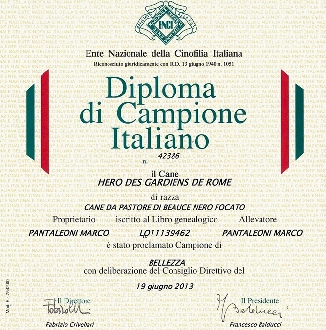 Campione Italiano di Bellezza - Des Gardiens de Rome