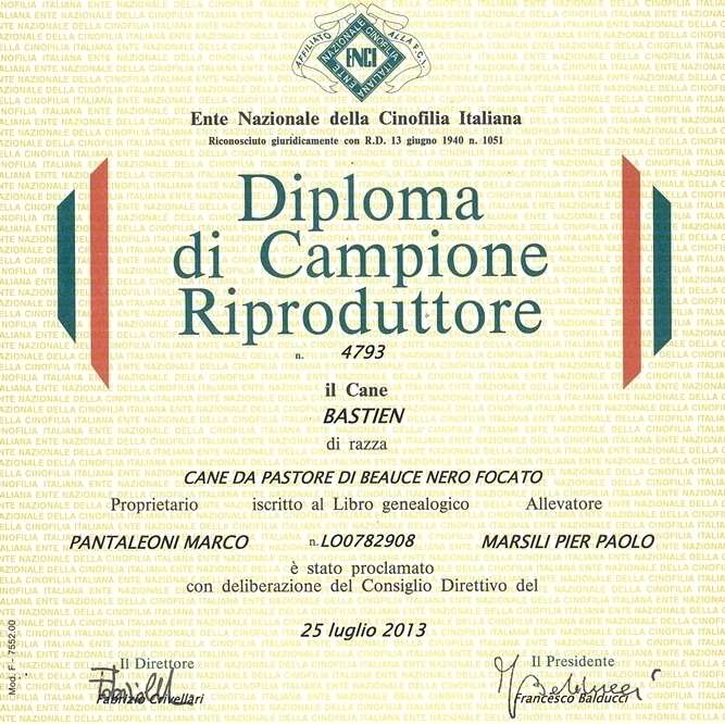 Campione Riproduttore - Des Gardiens de Rome