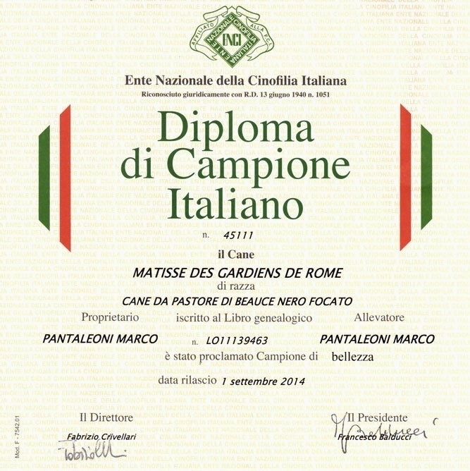 Campione Italiano di Bellezza - Des Gardiens de Rome