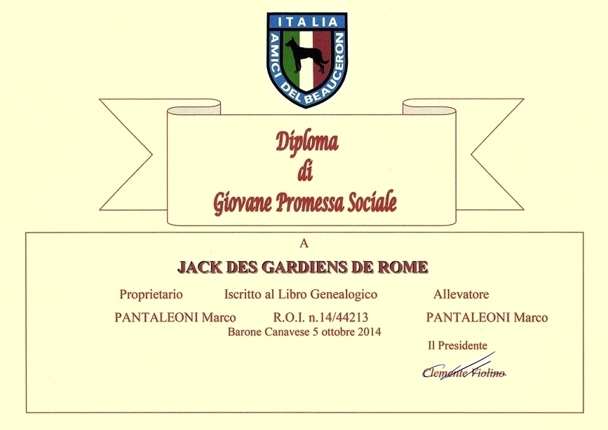 Giovane Promessa Sociale - Des Gardiens de Rome