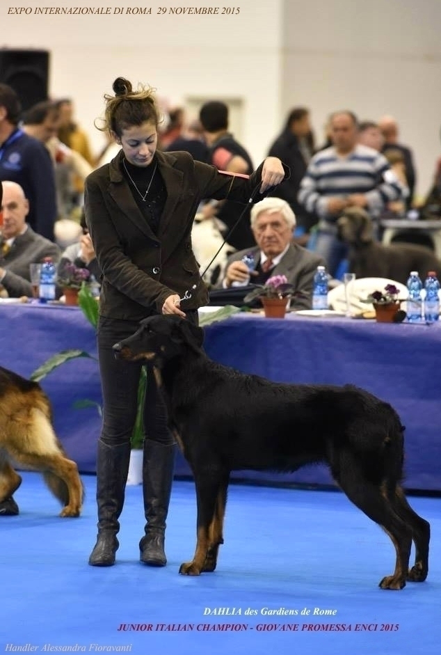 Expo Internazionale di Roma 29 Novembre 2015 - Des Gardiens de Rome