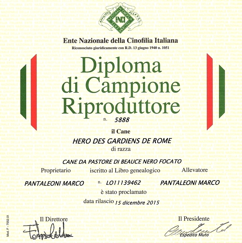 Campione Riproduttore - Des Gardiens de Rome