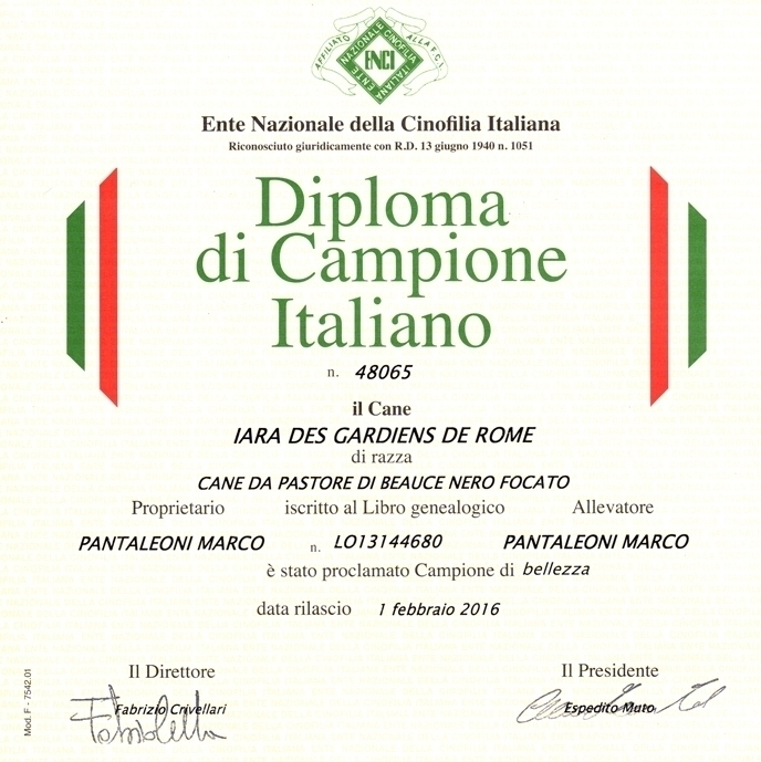 Campione Italiano di Bellezza - Des Gardiens de Rome