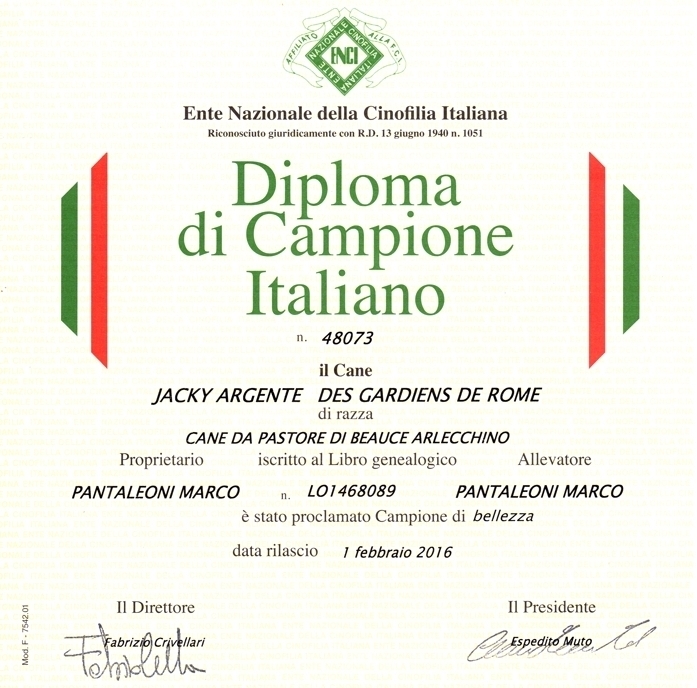 Campione Italiano di Bellezza - Des Gardiens de Rome