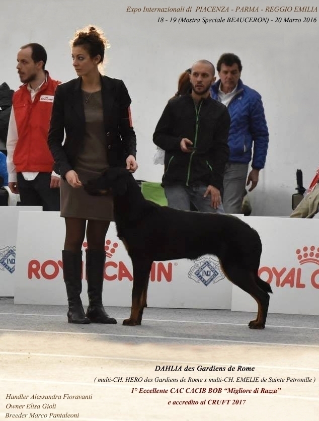 Expo Internazionali di Piacenza, Parma "Mostra Speciale" e Reggio Emilia - Des Gardiens de Rome