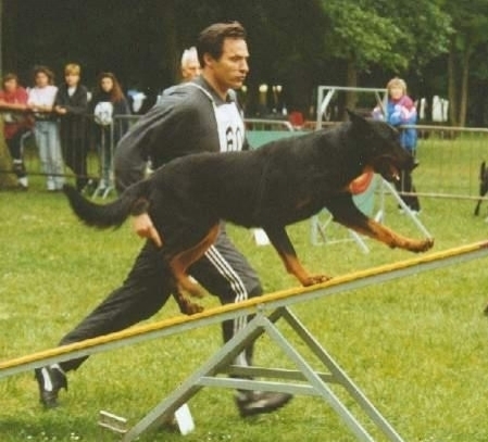 l'Agility - Des Gardiens de Rome