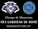 Des Gardiens de Rome - Des Gardiens de Rome