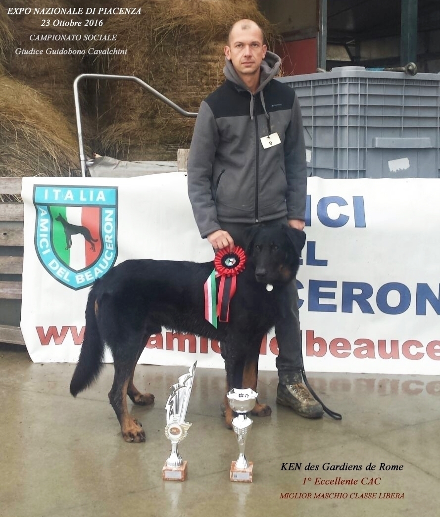 Expo Nazionale di Piacenza 23 Ottobre 2016, Campionato Sociale - Des Gardiens de Rome