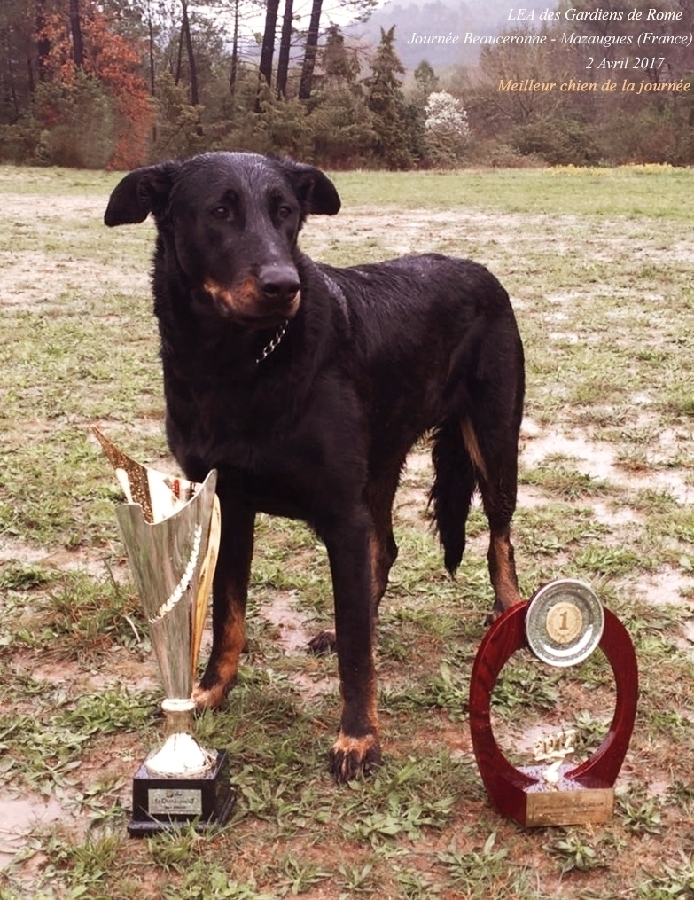 Journée Beauceronne, 2 Avril 2017 Mazaugues - France - Des Gardiens de Rome