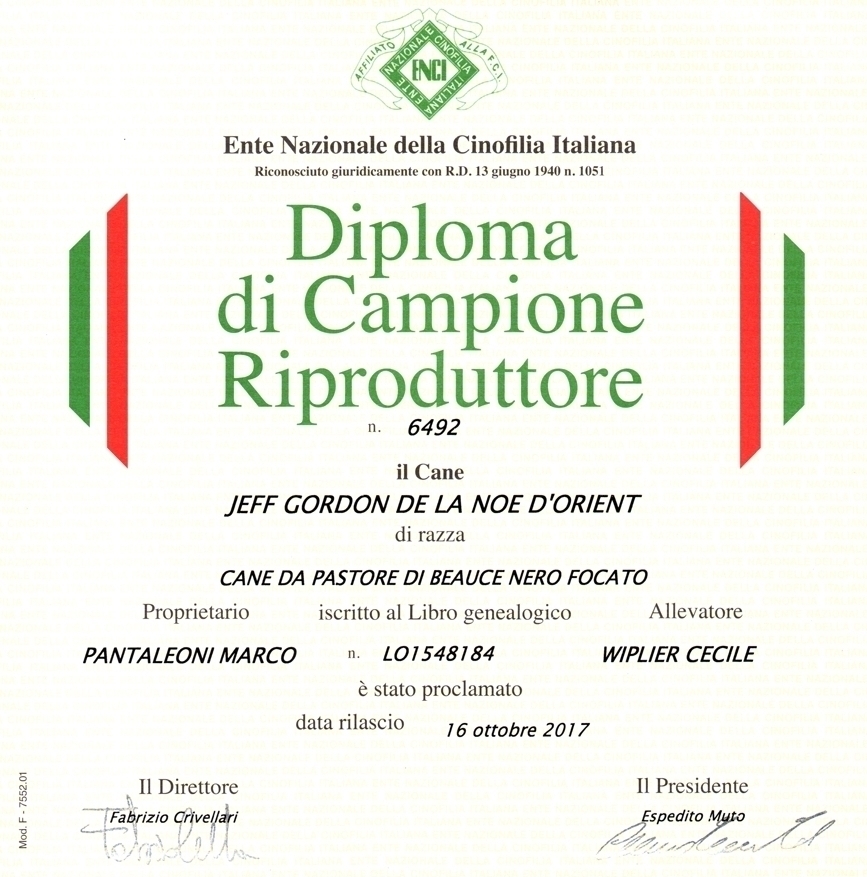 Campione Riproduttore - Des Gardiens de Rome