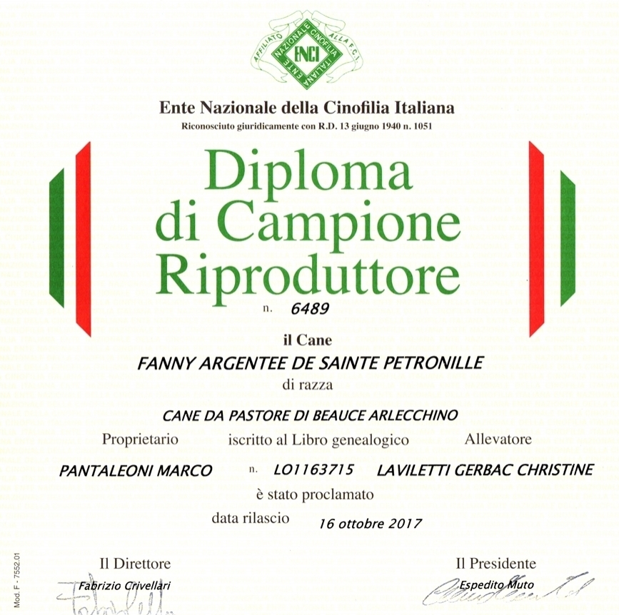 Campione Riproduttore - Des Gardiens de Rome