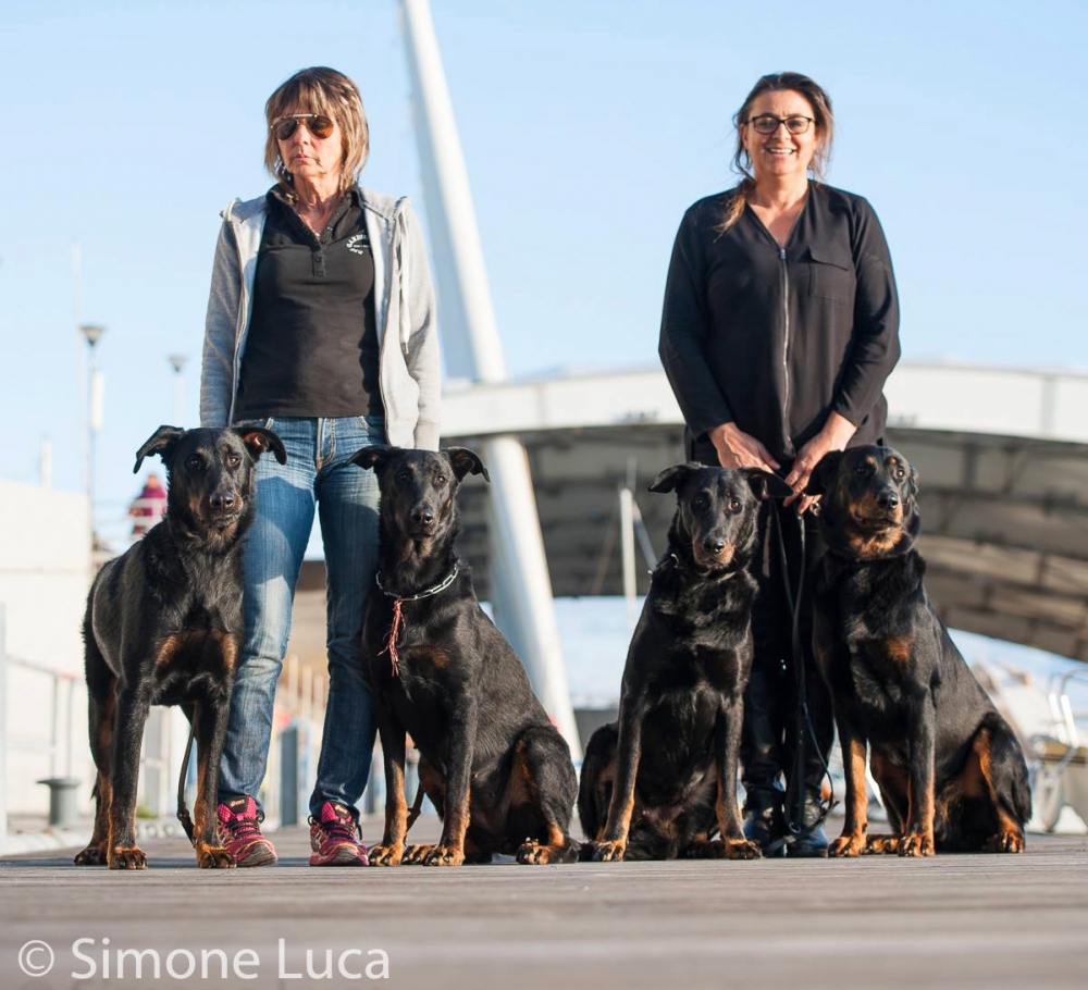  - Des Gardiens de Rome
