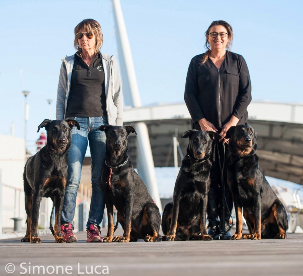 Liguria Dog Show Genova 19 Novembre 2017 - Des Gardiens de Rome