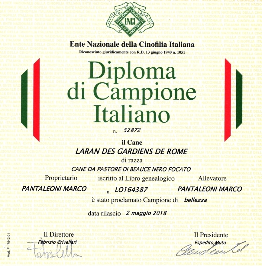 Campione Italiano di Bellezza - Des Gardiens de Rome