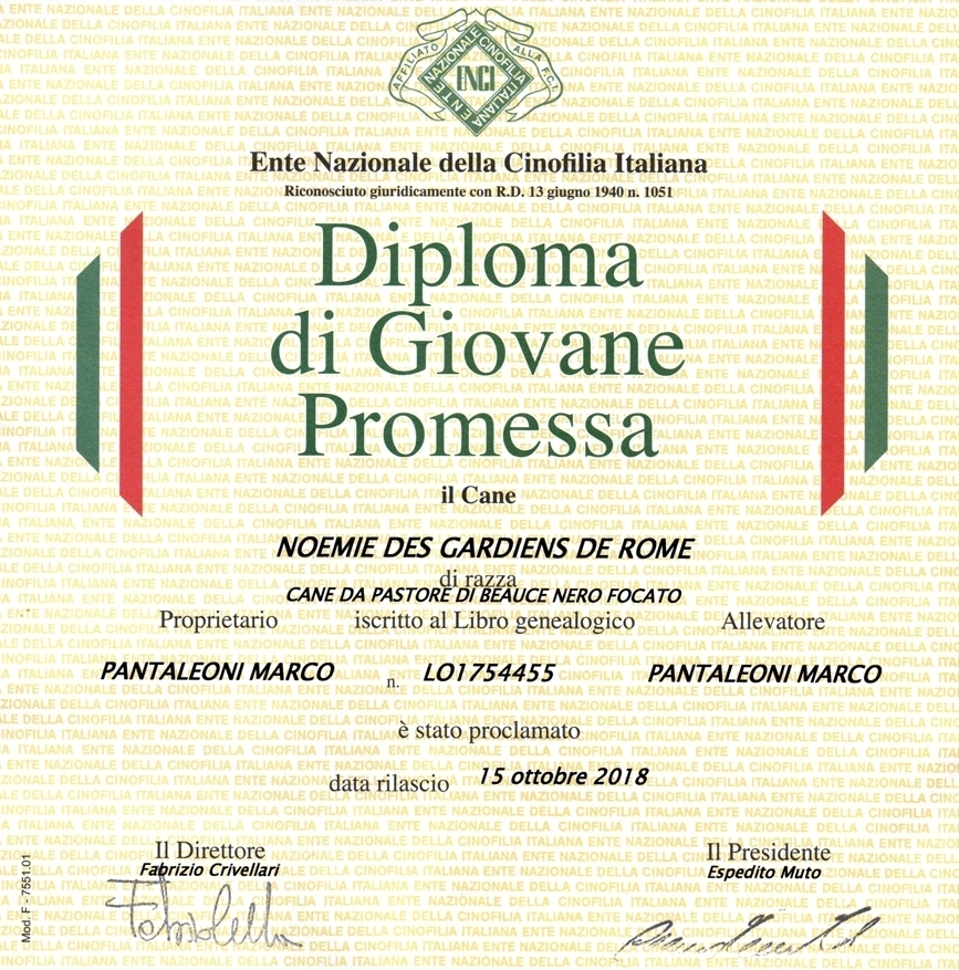 Giovane Promessa Enci - Des Gardiens de Rome