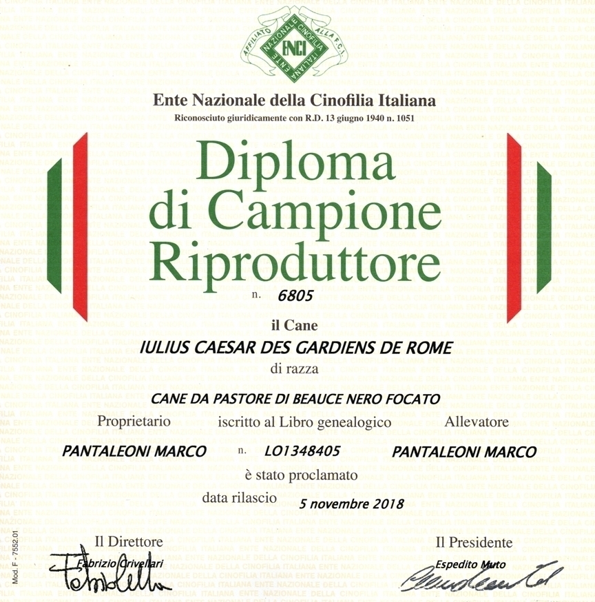 Campione Riproduttore - Des Gardiens de Rome