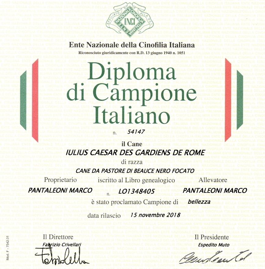 Campione Italiano di Bellezza - Des Gardiens de Rome