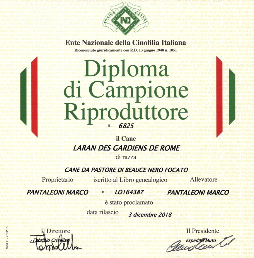 Campione Riproduttore - Des Gardiens de Rome