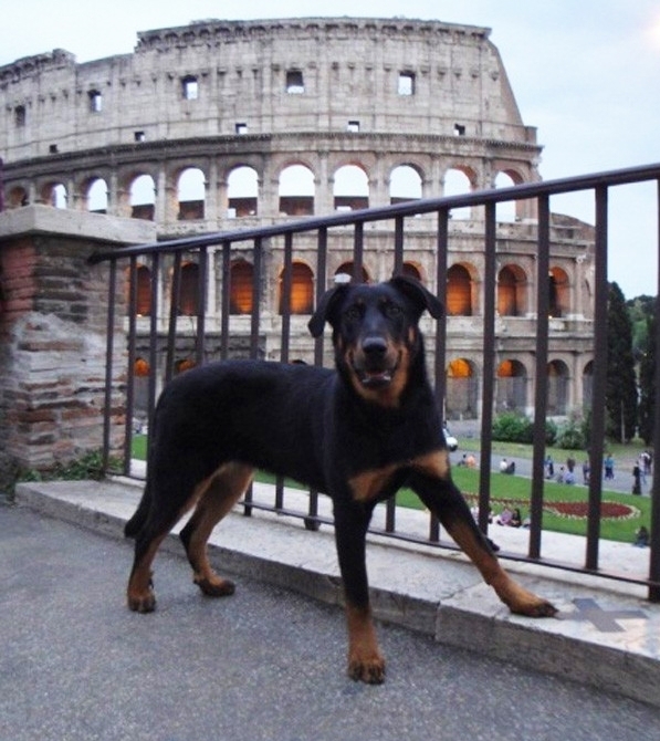 Bellona - Des Gardiens de Rome