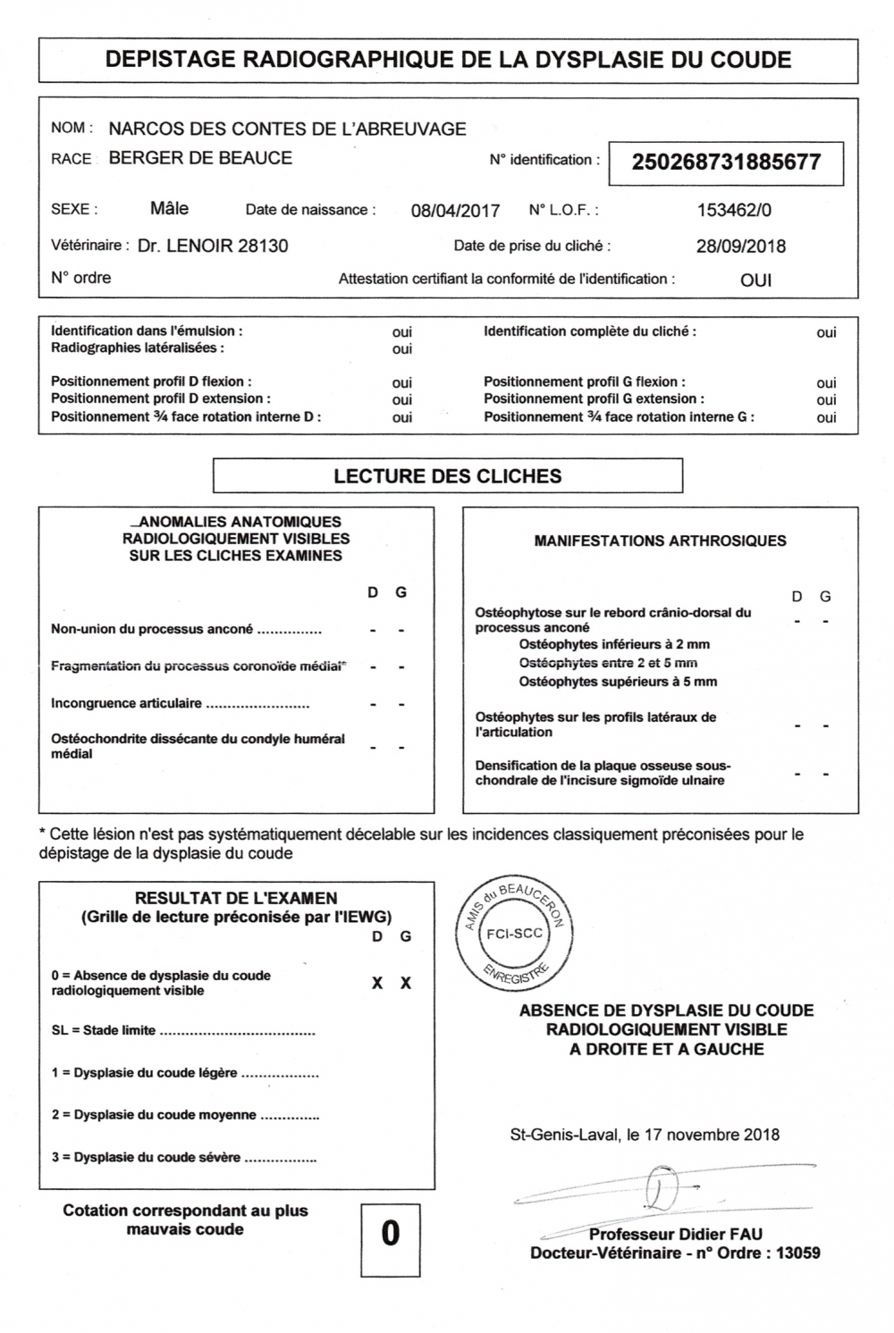 Radiografie ai gomiti - Des Gardiens de Rome