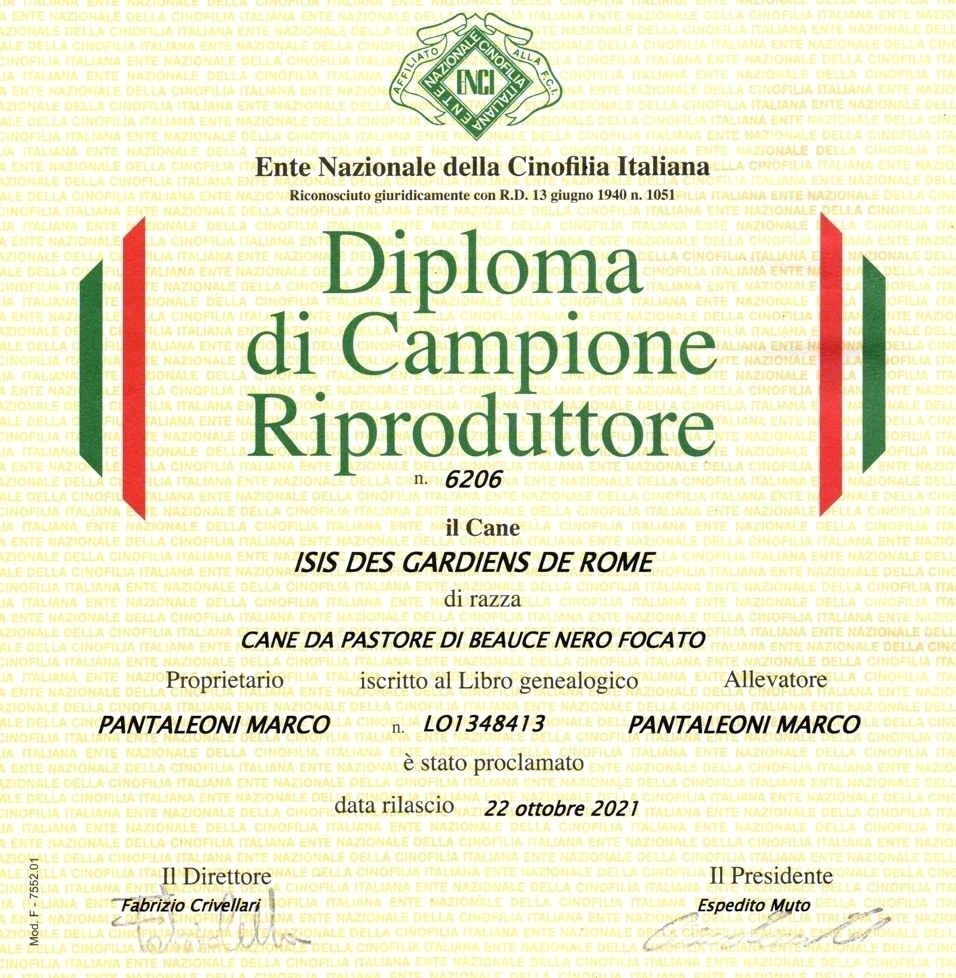 Campione Riproduttore - Des Gardiens de Rome