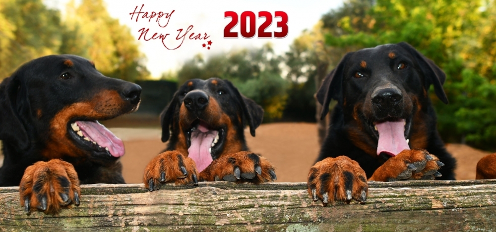 Buon 2023 a tutti - Des Gardiens de Rome