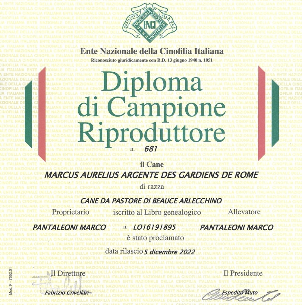 Campione Italiano Riproduttore - Des Gardiens de Rome