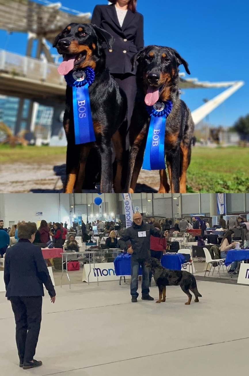 Expo Internazionale di Roma, 18 Novembre 2023 - Des Gardiens de Rome