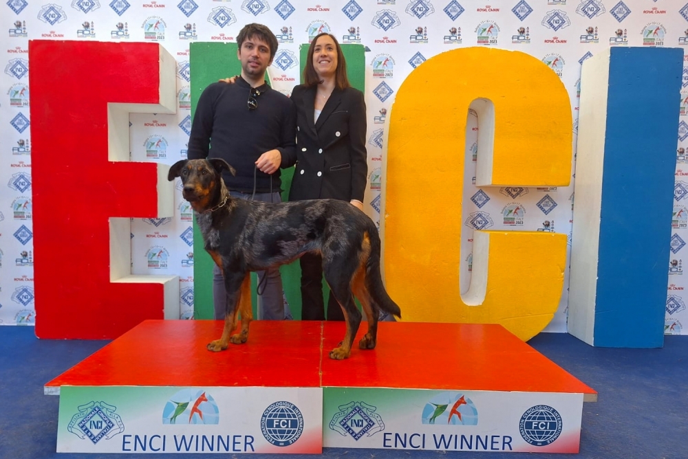 ENCI WINNER Bologna 17 Dicembre 2023 - Des Gardiens de Rome