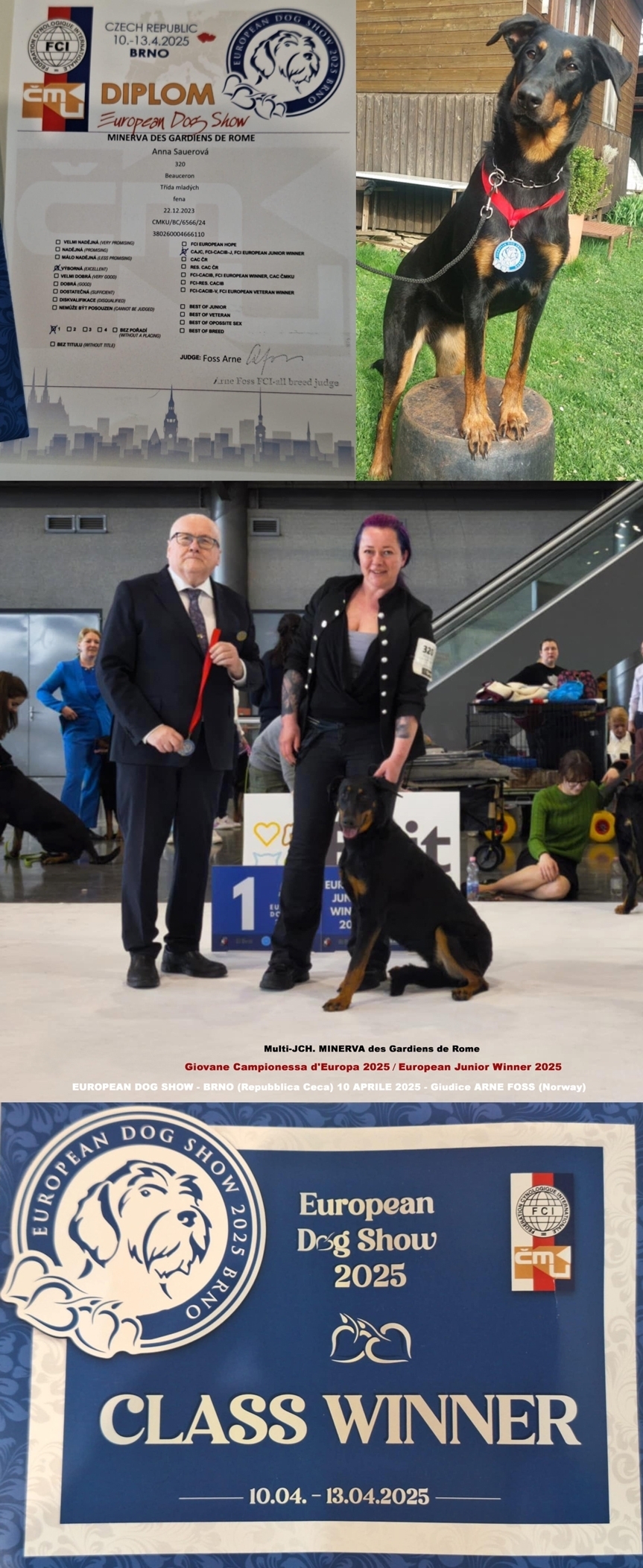 European Dog Show 2025, Brno - Repubblica Ceca - Des Gardiens de Rome
