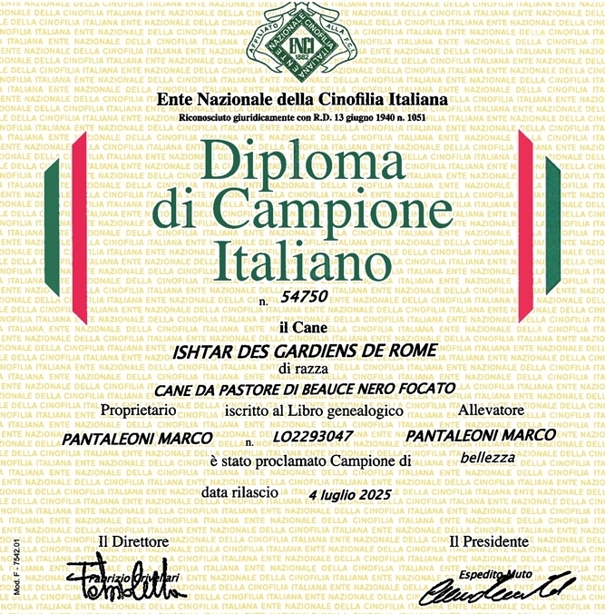 Campionessa Italiana di Bellezza - Des Gardiens de Rome