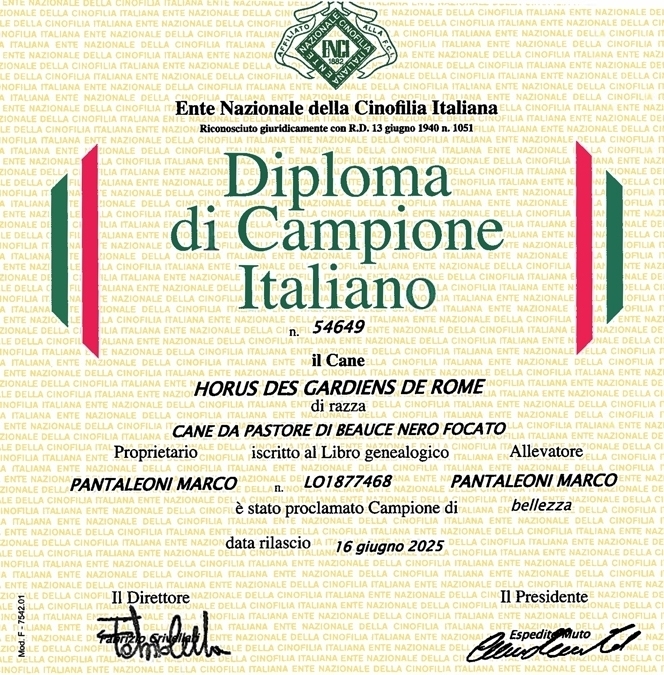 Campione Italiano di Bellezza - Des Gardiens de Rome