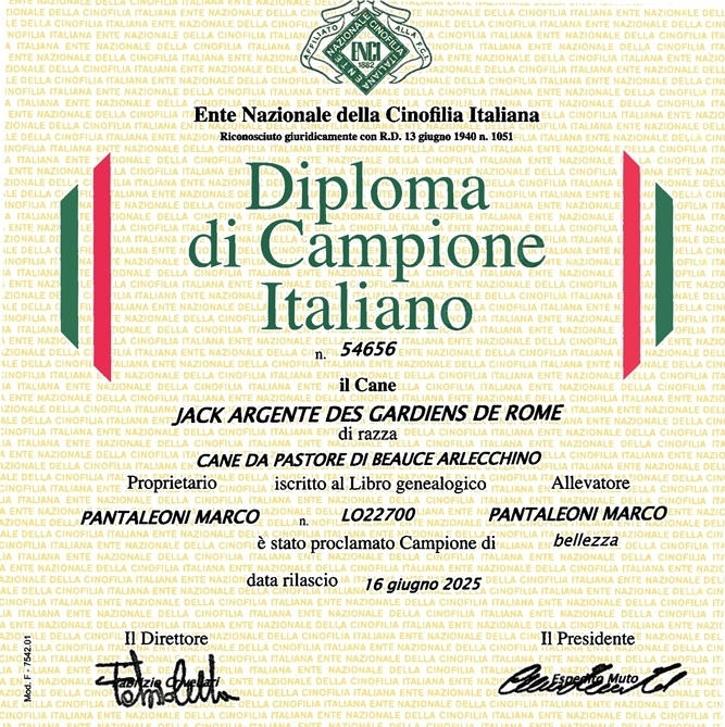Jack Argenté des Gardiens de Rome - Campione Italiano di Bellezza - Des Gardiens de Rome