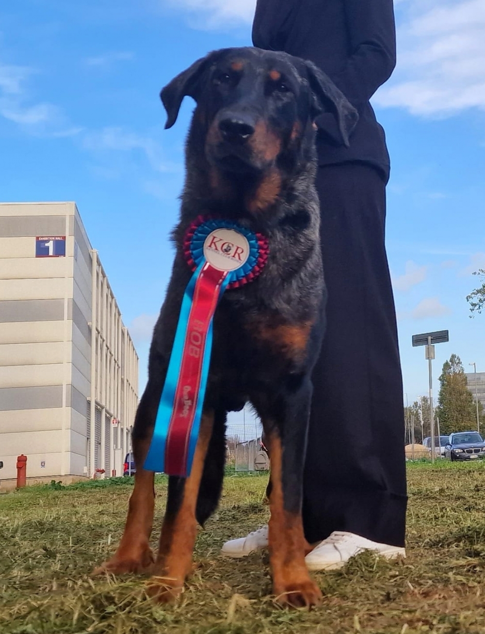 Jack - Des Gardiens de Rome