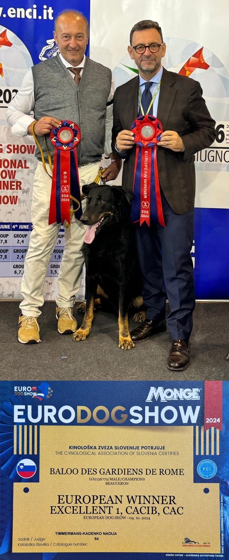 Baloo - Des Gardiens de Rome