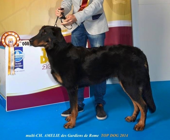 Amelie des Gardiens de Rome - Des Gardiens de Rome