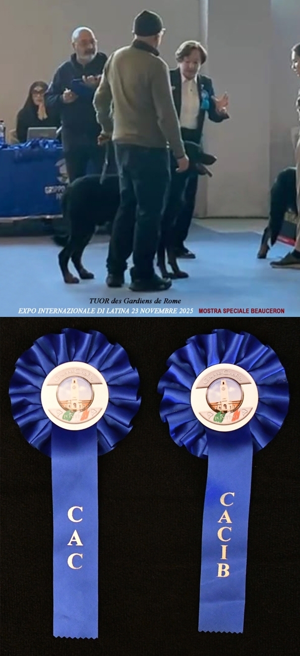 risultati in expo - Des Gardiens de Rome